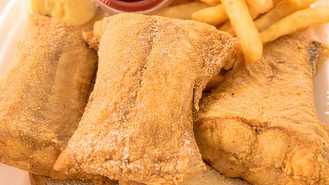 Medium Catfish Tails (4 Pcs).